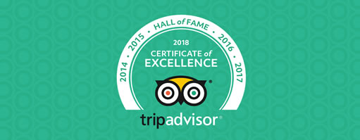 Hall of Fame Award for The Holiday Resorts, Cottages & Spa Manali - Rated as One of the Best hotels in manali